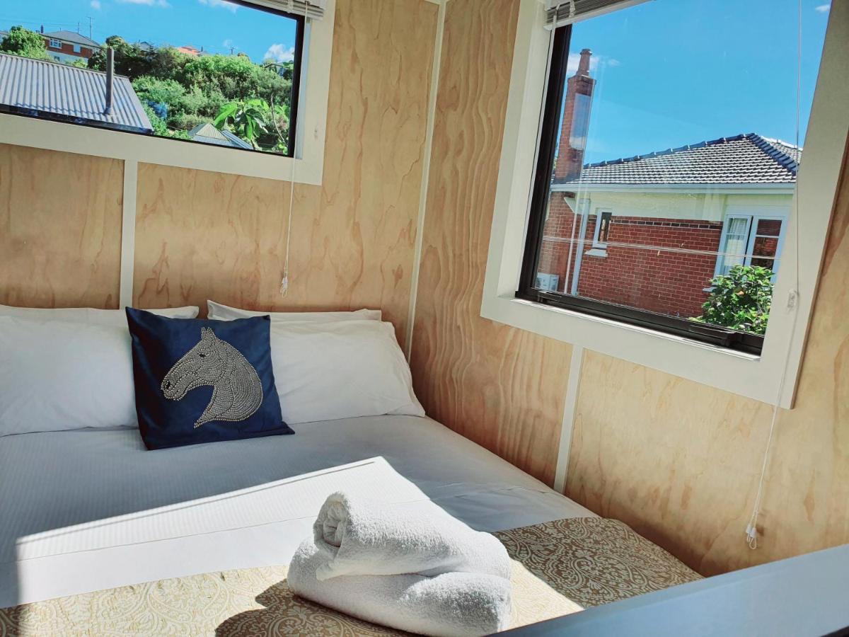 Dunedin Retreat Cabin エクステリア 写真